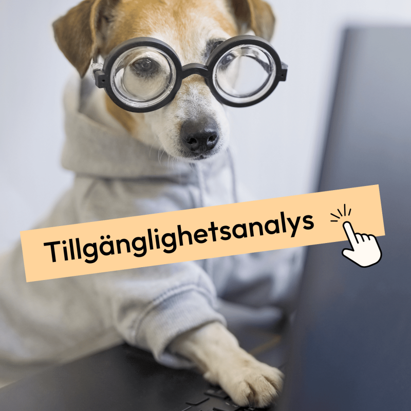 Hund med glasögon som sitter framför en dator. Text som säger Tillgänglighetsanalys.